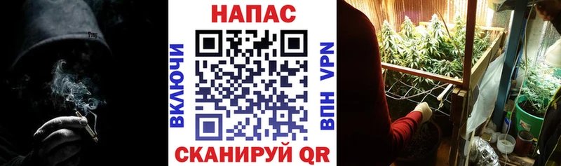 Шишки марихуана семена  Советская Гавань 